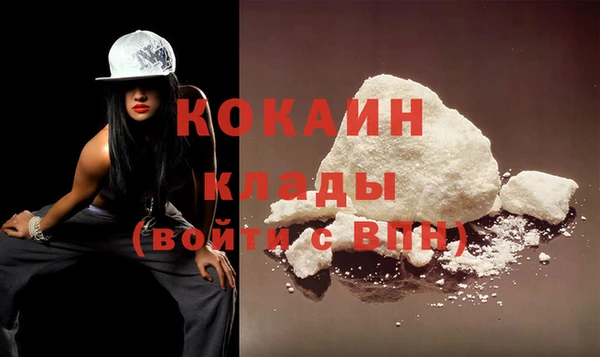 мдпв Каменногорск