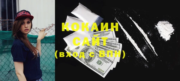 мдпв Каменногорск