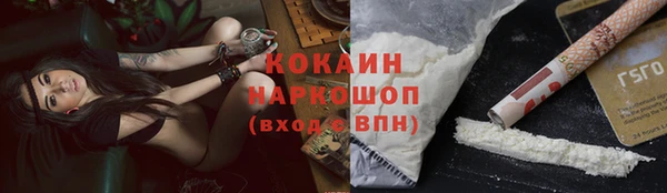 мдпв Каменногорск