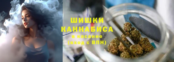 apvp Каменка