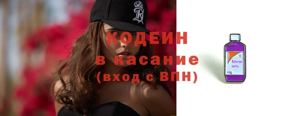 мдпв Каменногорск