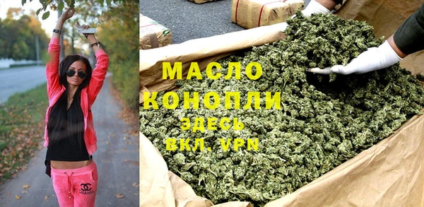 мдпв Каменногорск