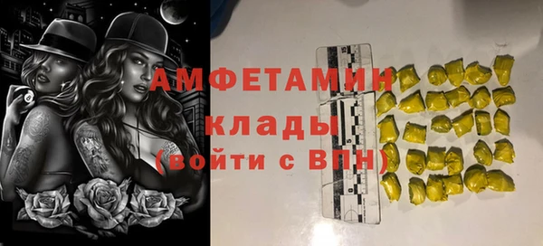 apvp Каменка