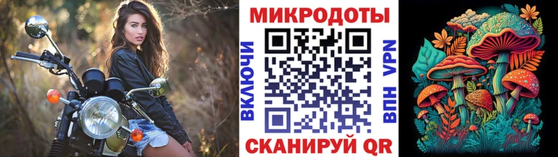 hydra   Новоаннинский  Галлюциногенные грибы Cubensis 