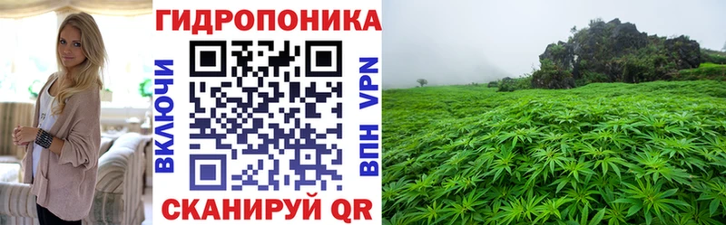 где купить ссылка на мегу сайт Шишки марихуана индика Новоаннинский